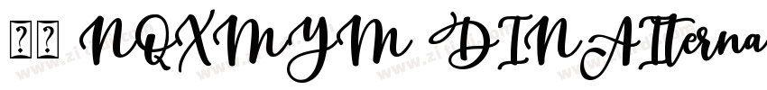 字体 NQXMYM DINAIterna字体转换